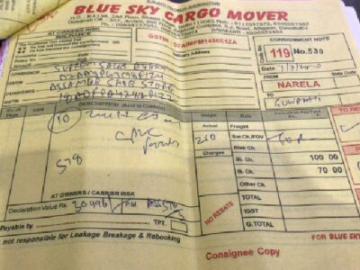Blue Sky Cargo Mover - Transport || Narela